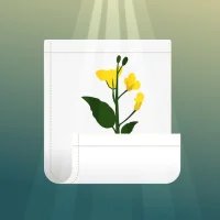 Christian Journal - Testimony